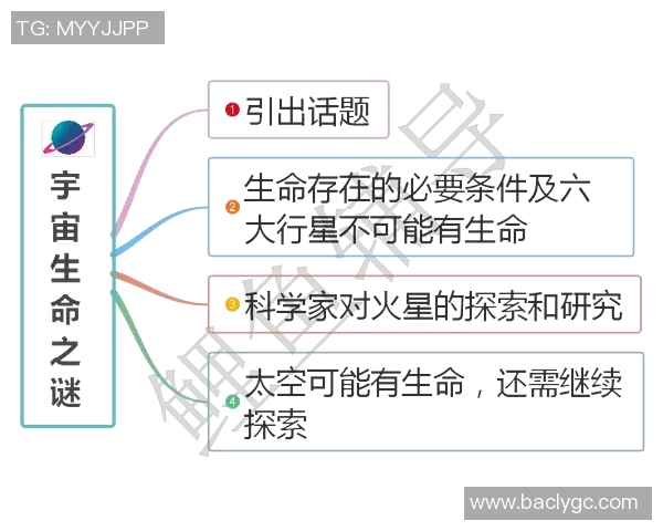 南京排球队的精神探索与团队意识的深度剖析